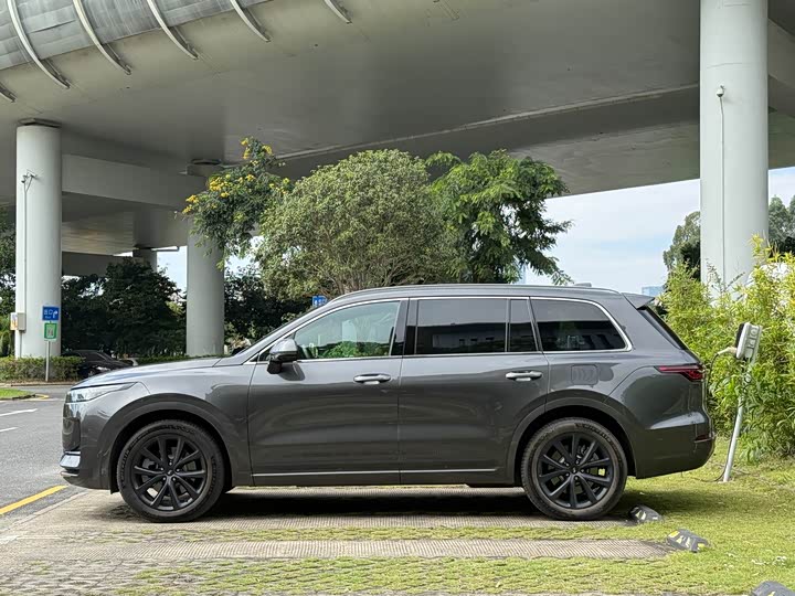 Фото 4 - LiXiang One