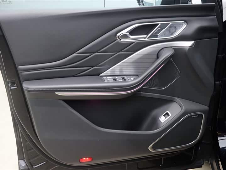 Фото 10 - Hongqi HS7 Hybrid