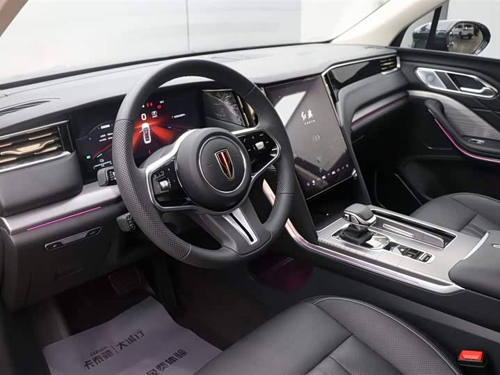 Фото 14 - Hongqi HS7 Hybrid