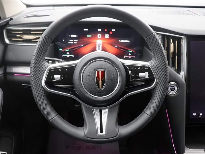 Фото 18 - Hongqi HS7 Hybrid