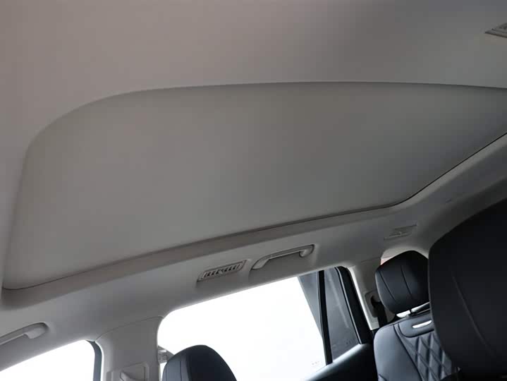 Фото 23 - Hongqi HS7 Hybrid