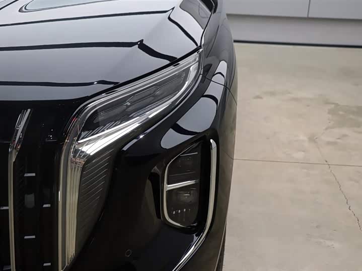 Фото 25 - Hongqi HS7 Hybrid