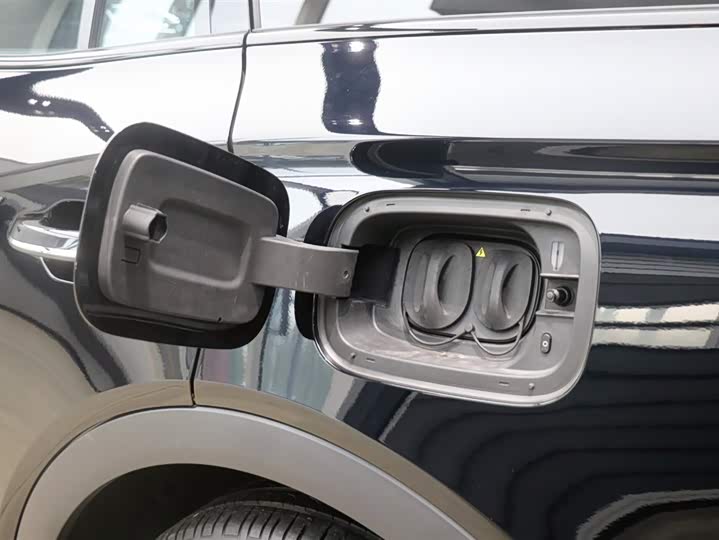 Фото 30 - Hongqi HS7 Hybrid