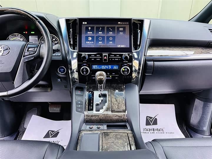 Фото 12 - Toyota Alphard