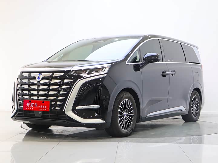 Фото 1 - Denza D9