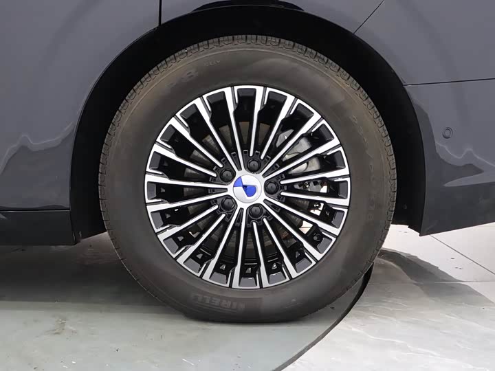 Фото 10 - Denza D9