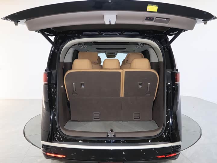 Фото 14 - Denza D9