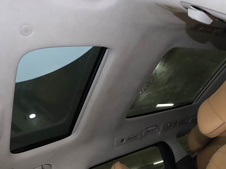 Фото 17 - Denza D9