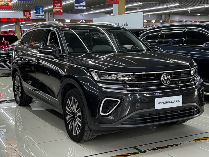 Фото 3 - Volkswagen Tavendor