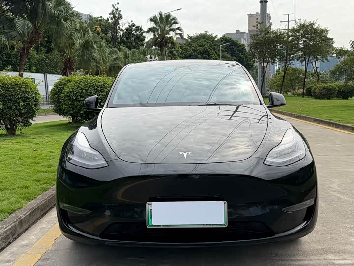 Фото 2 - Tesla Model Y