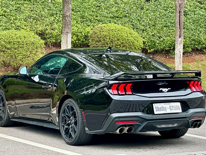 Фото 8 - Ford Mustang