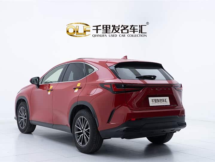 Фото 4 - Lexus NX