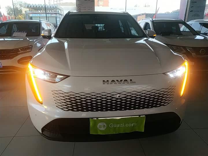 Фото 3 - Haval Ruge Max