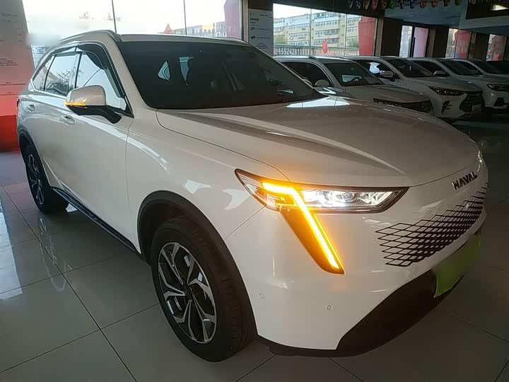 Фото 4 - Haval Ruge Max