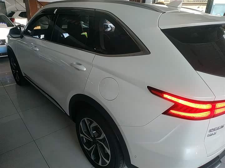 Фото 5 - Haval Ruge Max