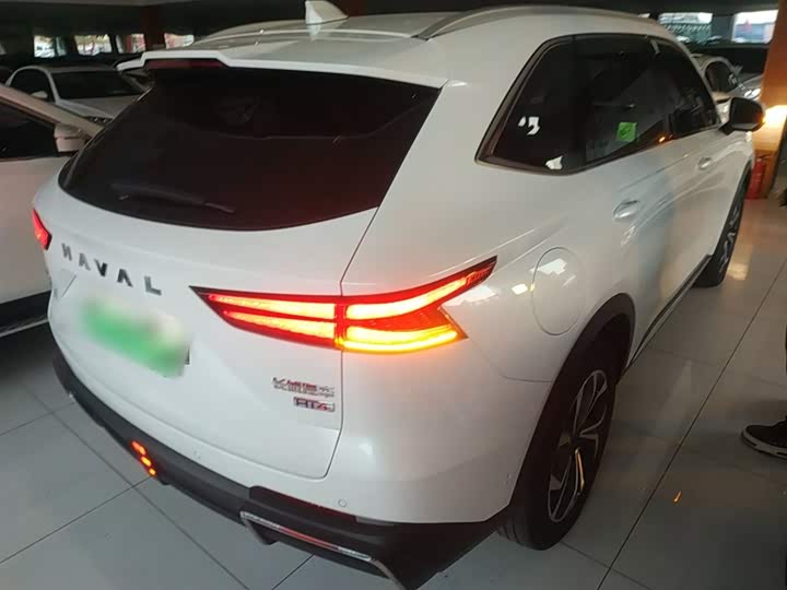 Фото 7 - Haval Ruge Max