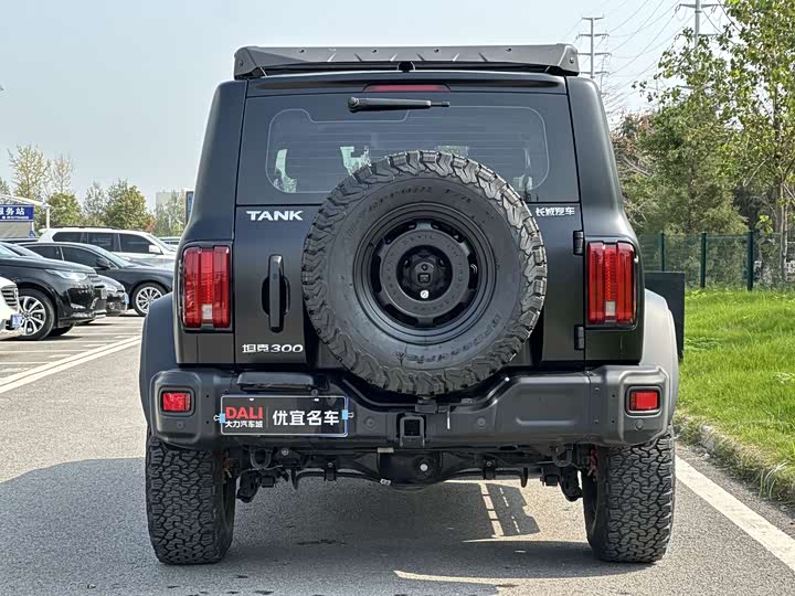 Фото 13 - Tank 300