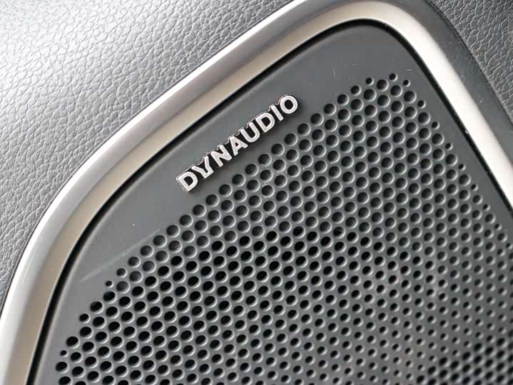 Фото 10 - Hongqi HS7 Hybrid