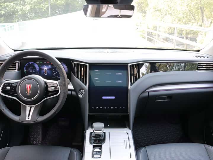 Фото 11 - Hongqi HS7 Hybrid