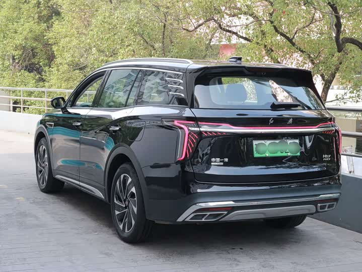 Фото 4 - Hongqi HS7 Hybrid