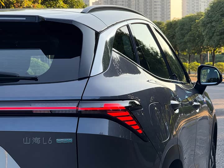 Фото 9 - Jetour Shanhai L6