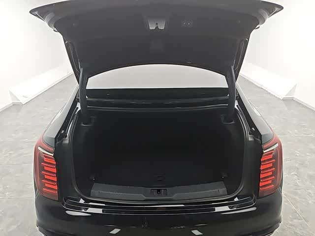 Фото 14 - Hongqi H9