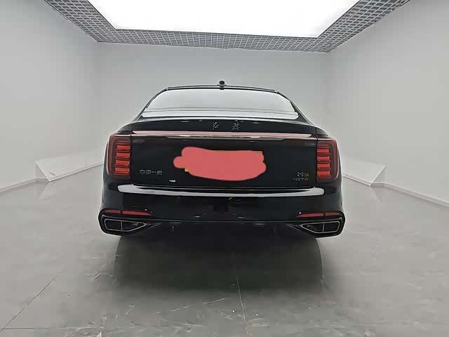 Фото 4 - Hongqi H9