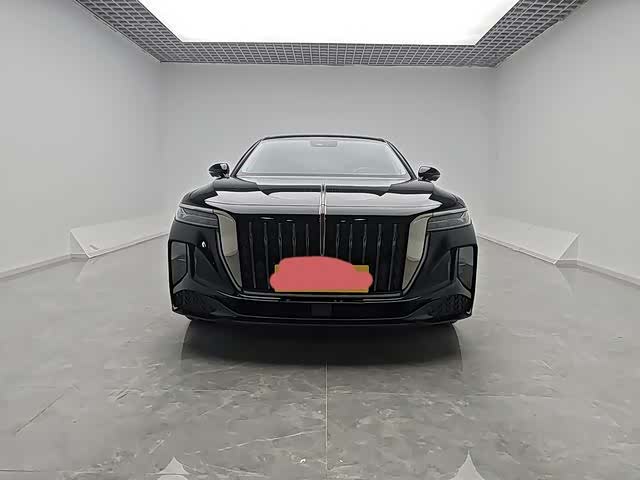 Фото 6 - Hongqi H9