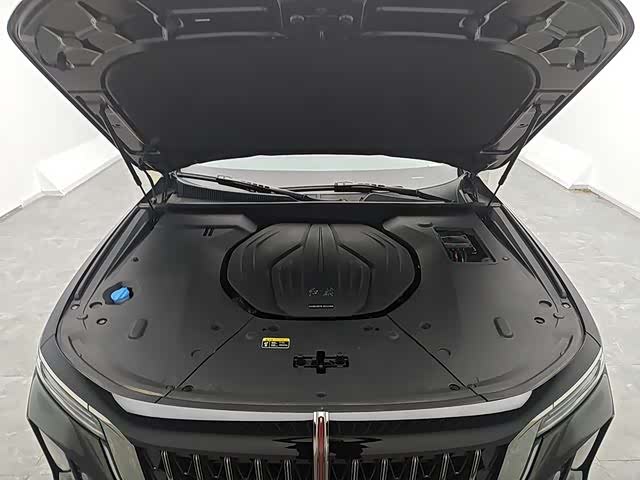 Фото 8 - Hongqi H9