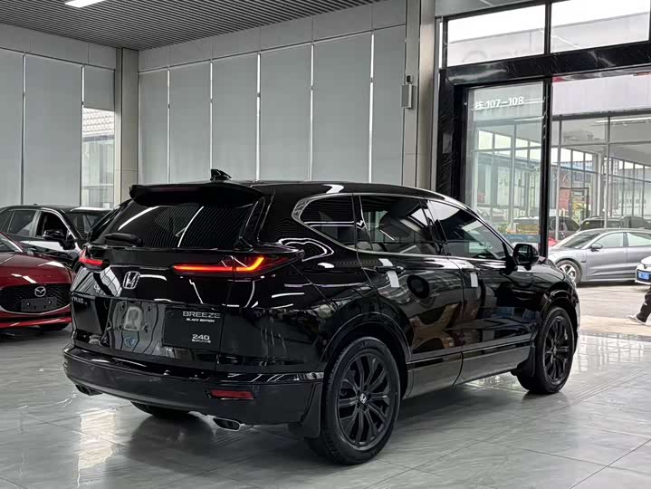 Фото 9 - Honda Breeze