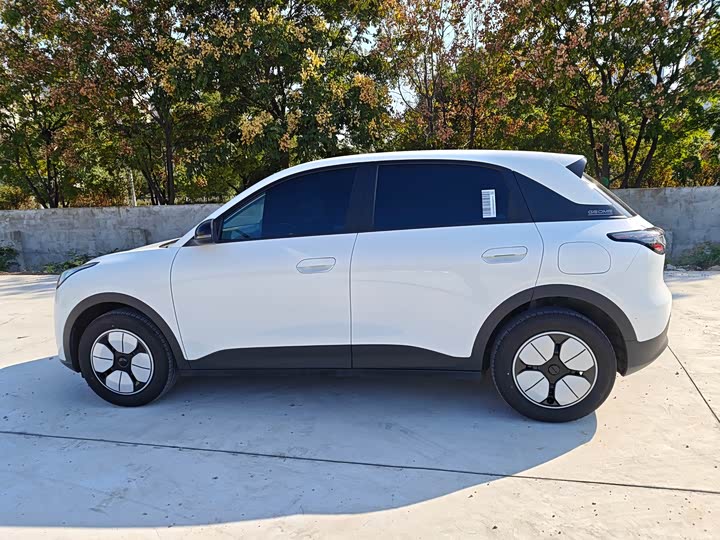 Фото 8 - Geely Galaxy Geome