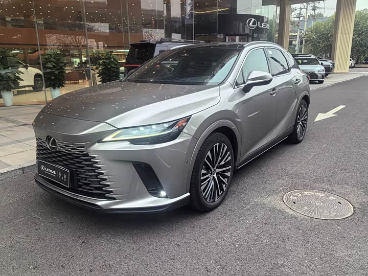 Фото 1 - Lexus RX Hybrid