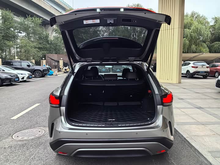 Фото 11 - Lexus RX Hybrid