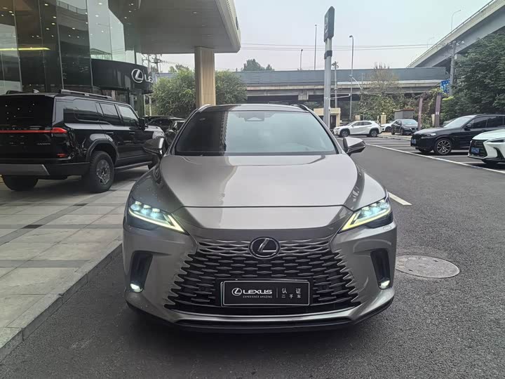 Фото 12 - Lexus RX Hybrid