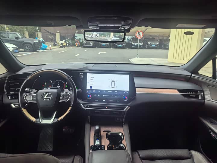 Фото 5 - Lexus RX Hybrid