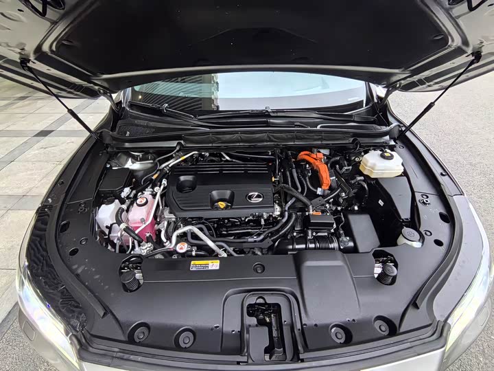 Фото 9 - Lexus RX Hybrid