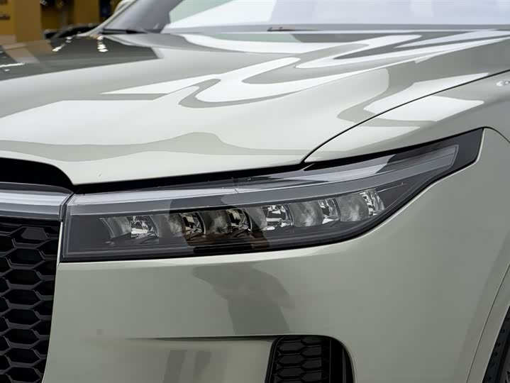 Фото 21 - LiXiang One