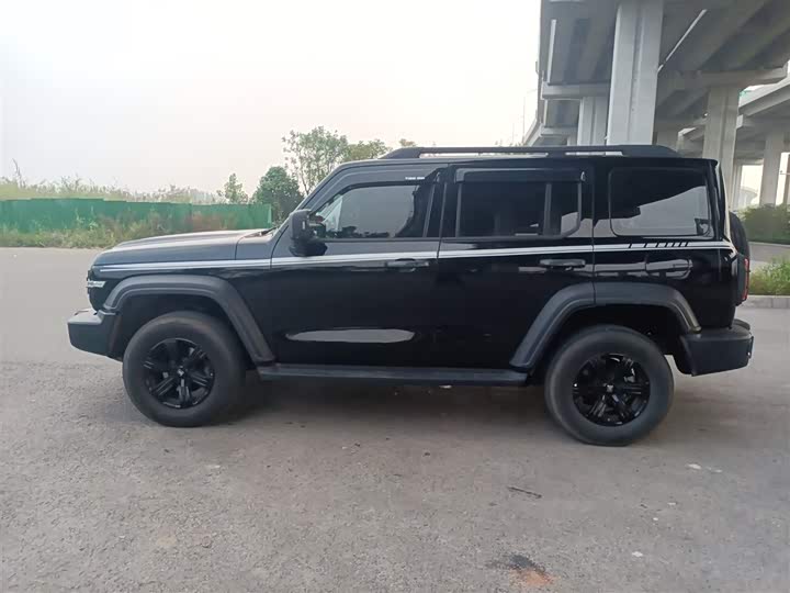 Фото 5 - Tank 300