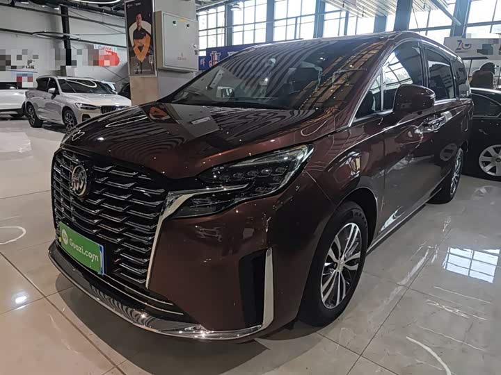 Фото 1 - Buick GL8 ES