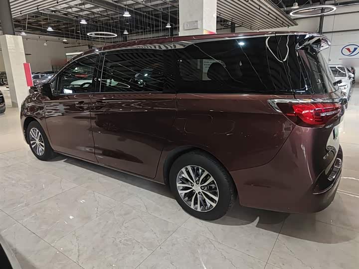 Фото 5 - Buick GL8 ES