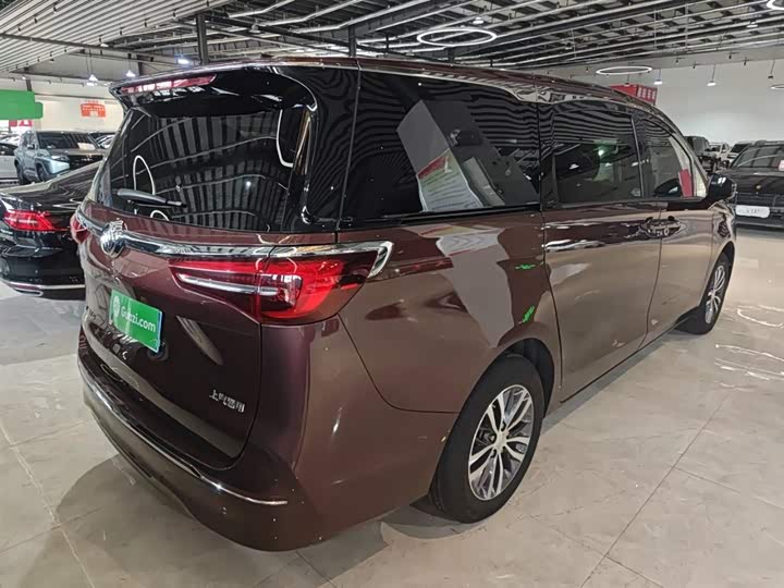 Фото 7 - Buick GL8 ES