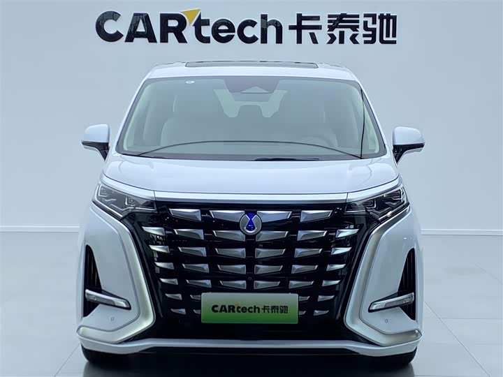 Фото 2 - Denza D9