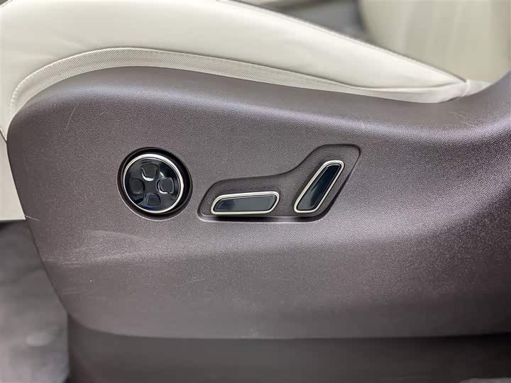 Фото 23 - Denza D9