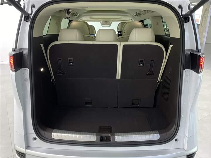 Фото 29 - Denza D9