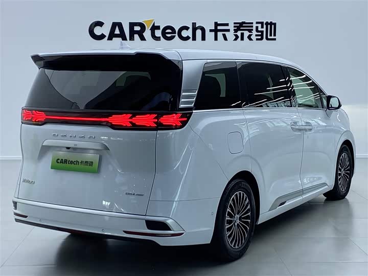 Фото 3 - Denza D9