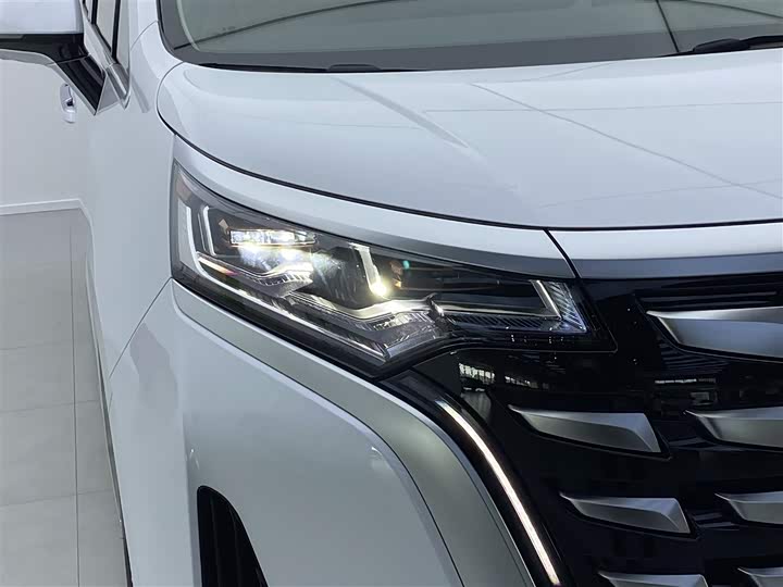 Фото 32 - Denza D9