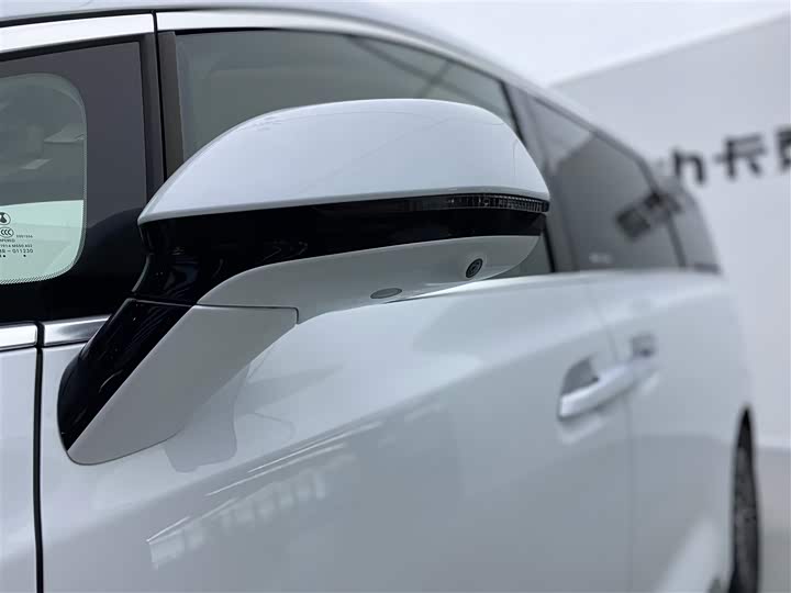 Фото 34 - Denza D9