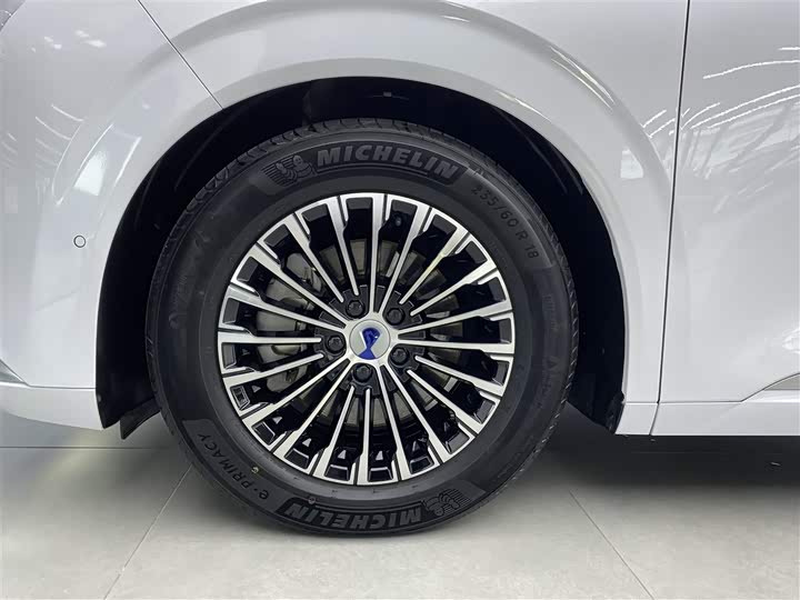 Фото 37 - Denza D9