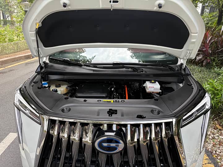 Фото 27 - GAC Trumpchi M8