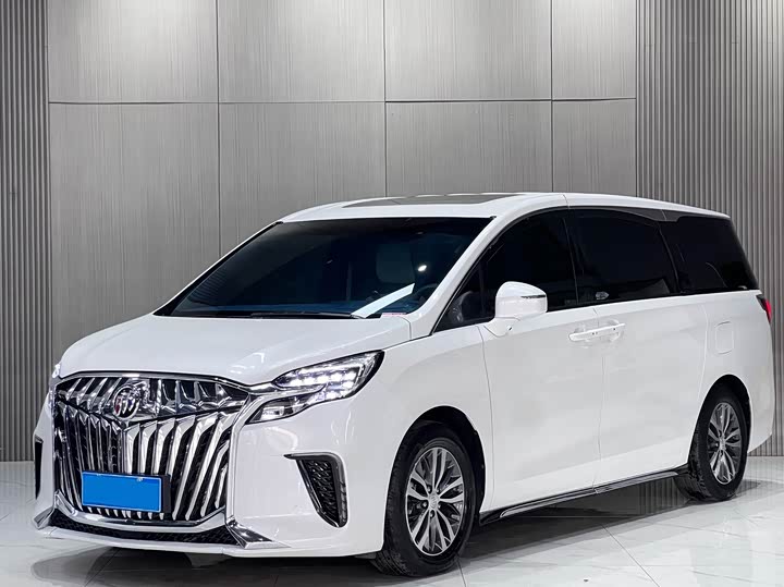 Фото 1 - Buick GL8 ES